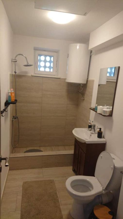 Apartment Comoara Hasmasului *