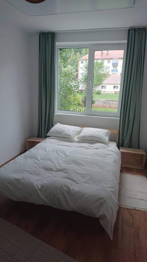 Apartment Comoara Hasmasului *