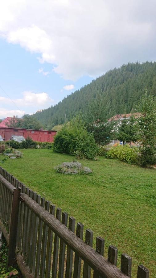 Apartment Comoara Hasmasului *